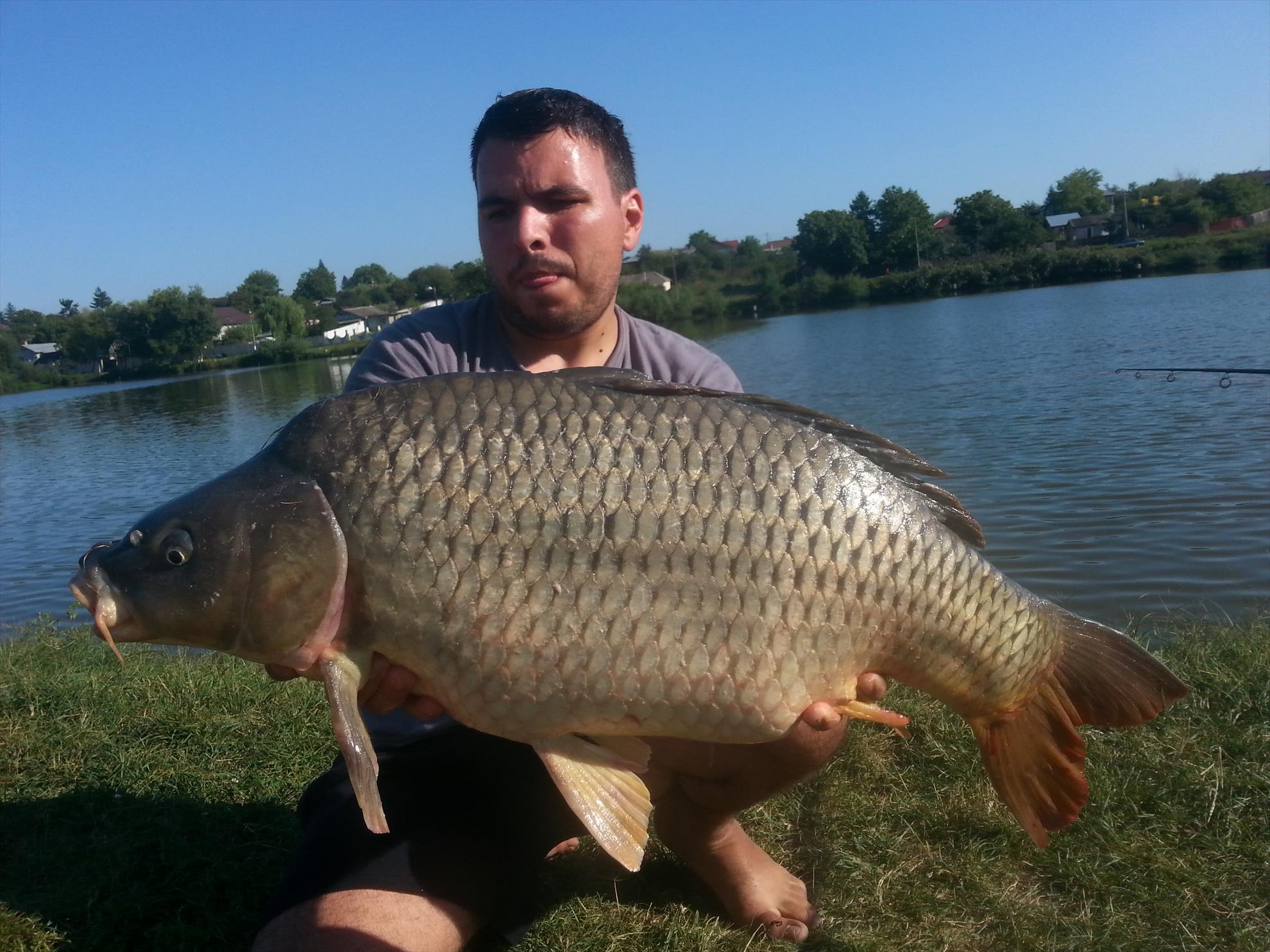 Moara Vlasiei 2 19 - 20 septembrie 2015 - 20150920162650.jpg